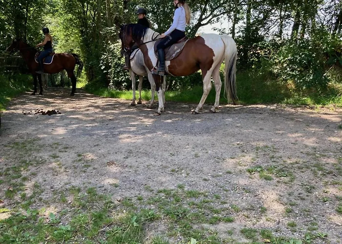Haras Du Chene