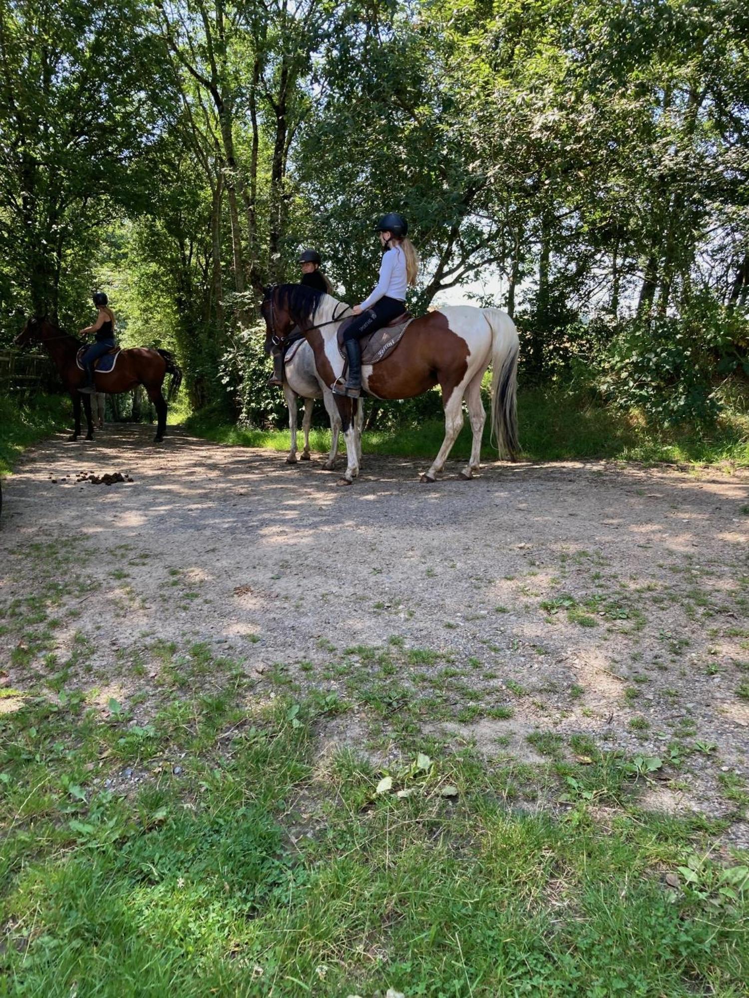 Haras Du Chene Holiday home